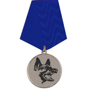 Приказ №24 от 15.07.2021г.

О