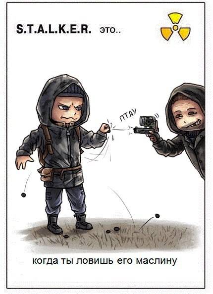 S.T.A.L.K.E.R. - это ..
