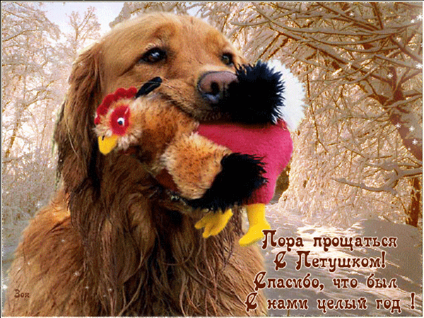 Всех жителей сайта с Новым