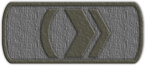 Приказ №19 от 09.06.2021