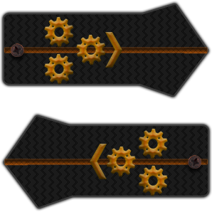 Летописный отдел: кадры и история Ордена Летописный отдел: кадры и история Ордена