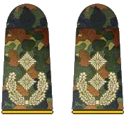 Штаб группировки - Миротворцы