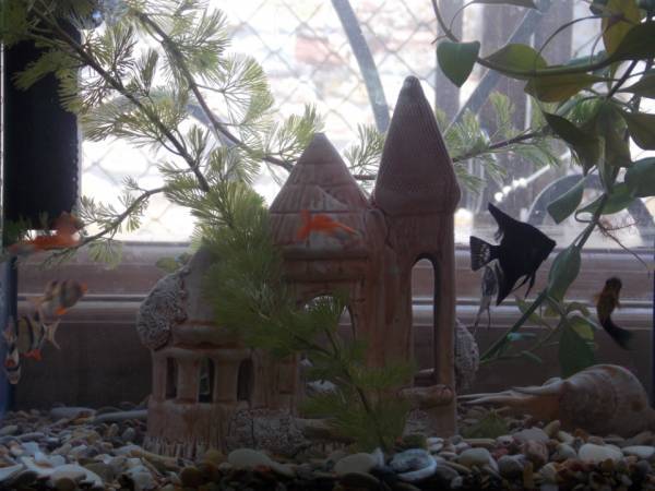 Первый год на сталкер уз,