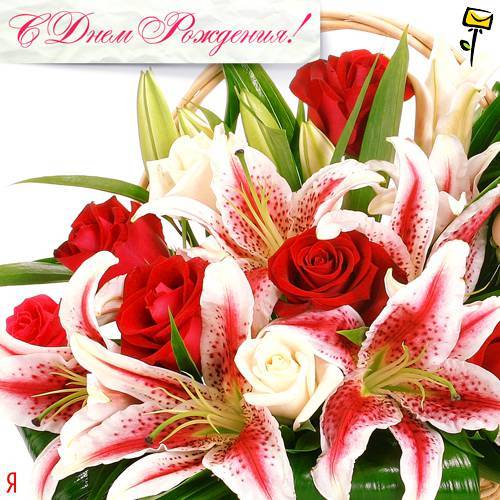 С Днём рождения Елена!!!