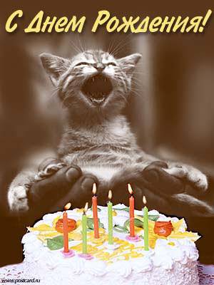 С Днём Рождения, Информатор!