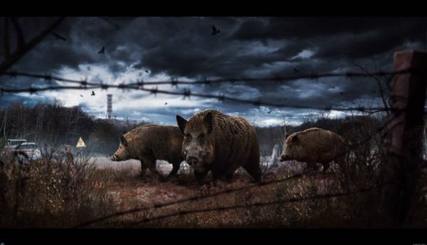 В сети ходят фейковые скриншоты S.T.A.L.K.E.R. 2