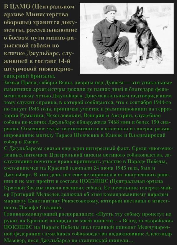 Курьёзные случаи Второй Мировой войны. Курьёзные случаи Второй Мировой войны.