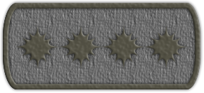 Приказ №19 от 09.06.2021