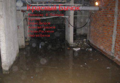 Красный Бычок