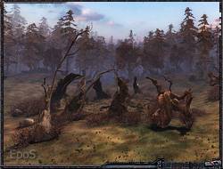 «Тесла» – подвижная аномалия «Тесла» – подвижная аномалия