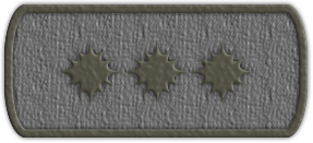 Приказ №19 от 09.06.2021