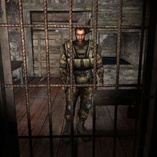 Мой день в Зоне. Мой день в Зоне.