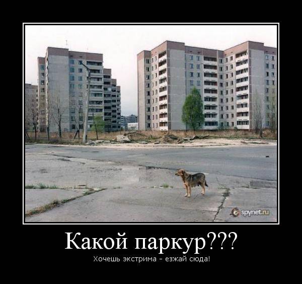 Приколы сталкер.