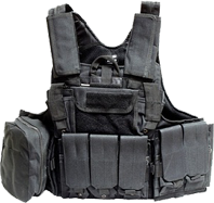 Гоуст (архив)