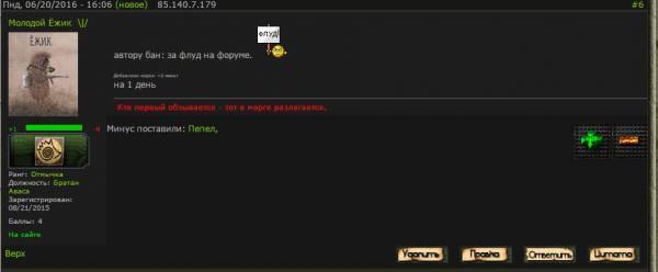 Молодой Ёжик остаётся на день