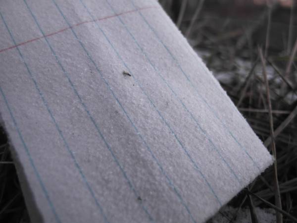 Затерянные