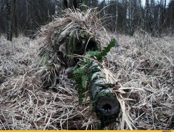 КСН "Феникc"