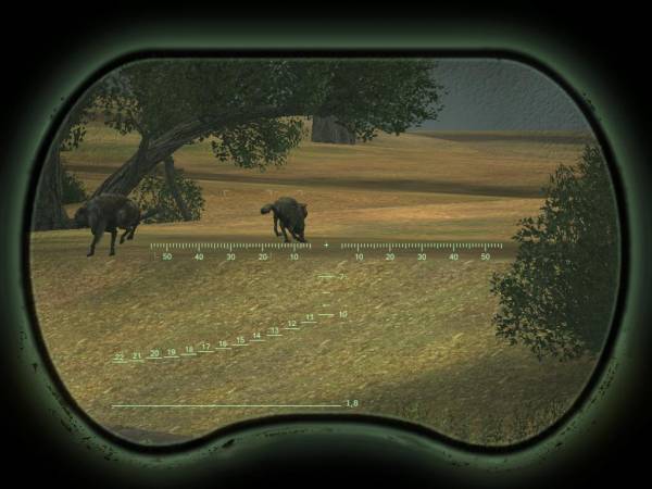 Кошки и собаки – не Кошки и собаки – не