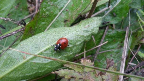 Фото Конкурс