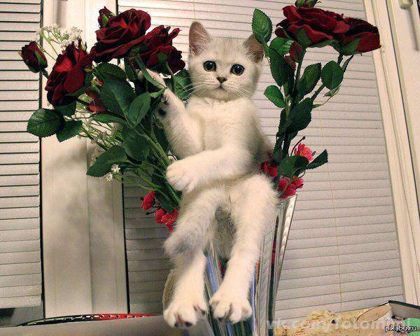 С днем рождения!
Удачи С днем рождения!
Удачи