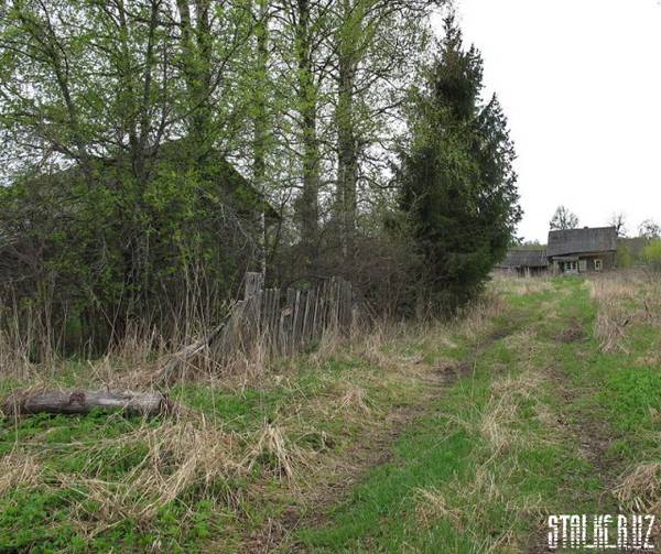 Деревня Гусево Деревня Гусево