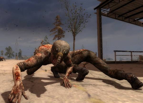 Гороскоп обитателей Зоны Отчуждения Гороскоп обитателей Зоны Отчуждения