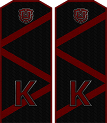 Приказ по группировке №28 от Приказ по группировке №28 от