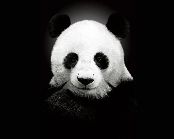 Я Хан хочу принять участие в Я Хан хочу принять участие в