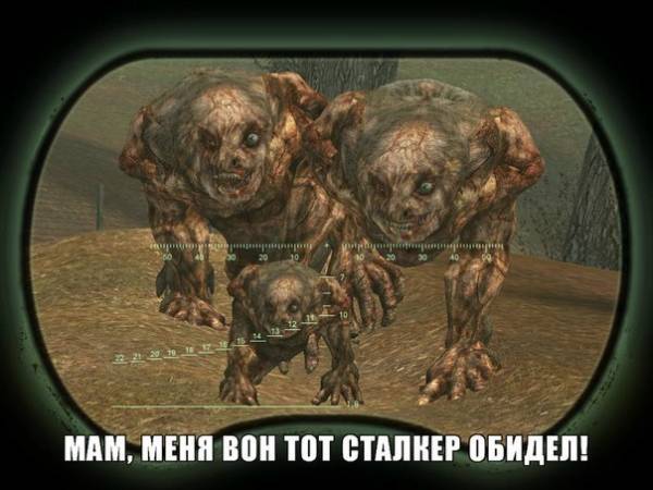 Приколы сталкер