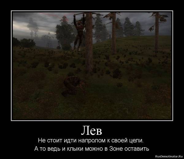 (Тема не указана)