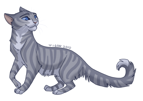 Коты-Воители Коты-Воители