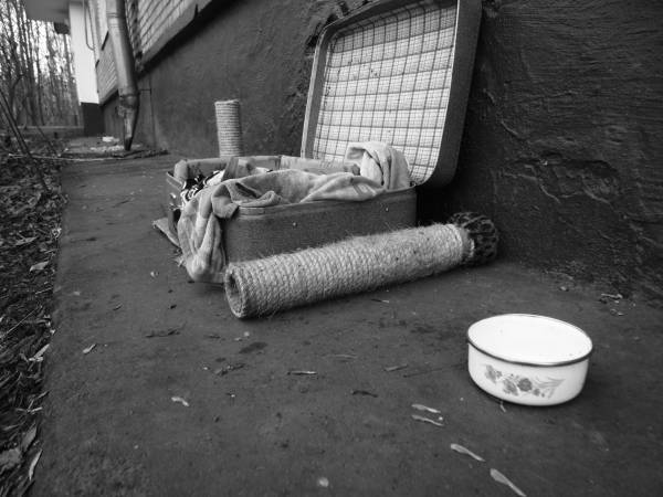 Затерянные