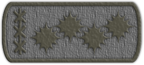 Приказ №19 от 09.06.2021