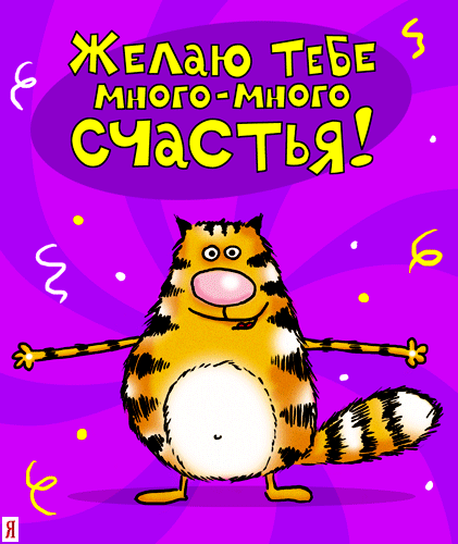 С Днем Рождения, Striker!!! С Днем Рождения, Striker!!!