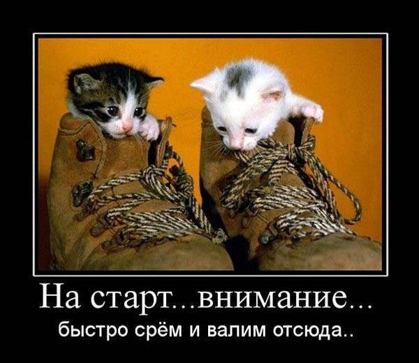 Spoiler: Highlight to view Spoiler: Highlight to view