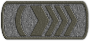 Приказ №19 от 09.06.2021