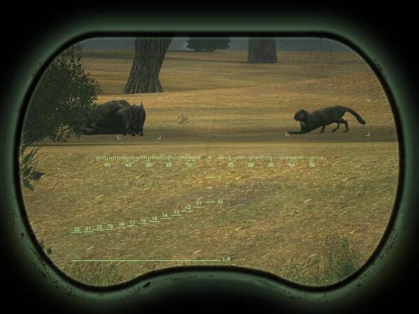 Кошки и собаки – не Кошки и собаки – не