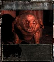 Псевдогигант, спасаясь от Псевдогигант, спасаясь от