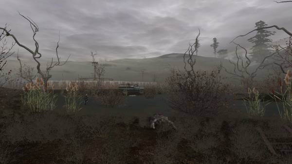 Истории на Янтаре Истории на Янтаре