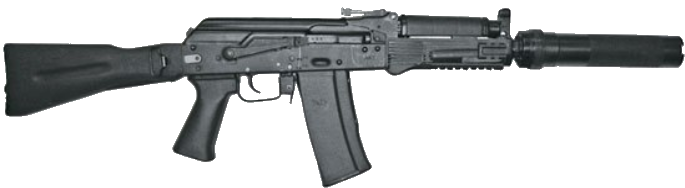 Семья по фамилии "Калашниковы"