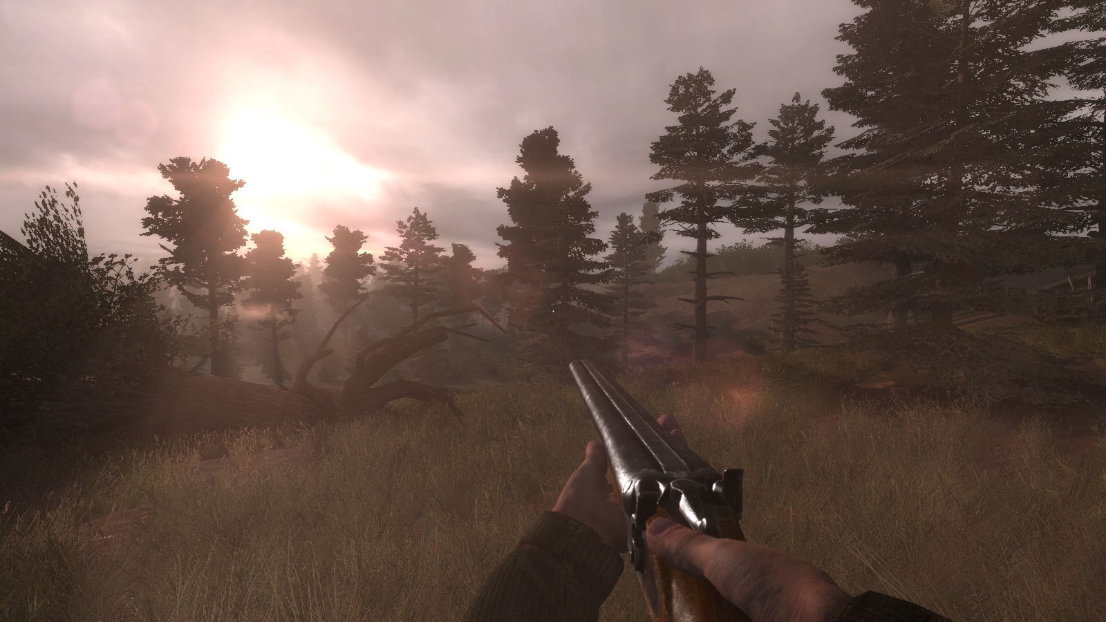 Call of Misery Call of Misery