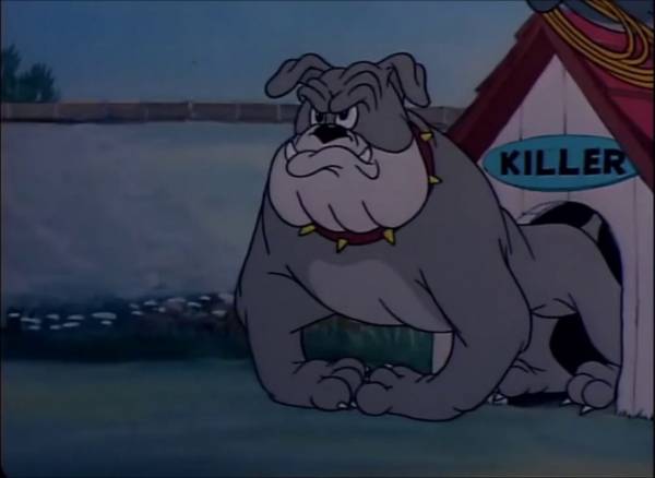 Расти большой, не будь лапшой