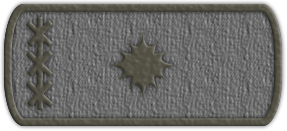 Приказ №19 от 09.06.2021