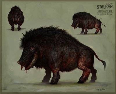 Stalker Online Обзор