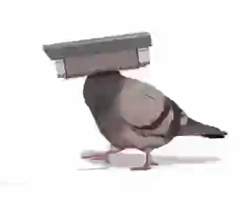 ...на фабриках, сами по себе, ...на фабриках, сами по себе,