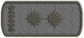 Приказ №19 от 09.06.2021