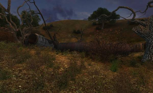 Один день из жизни в Зоне: Во всем виновата выпивка