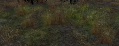 Stalker Online Обзор