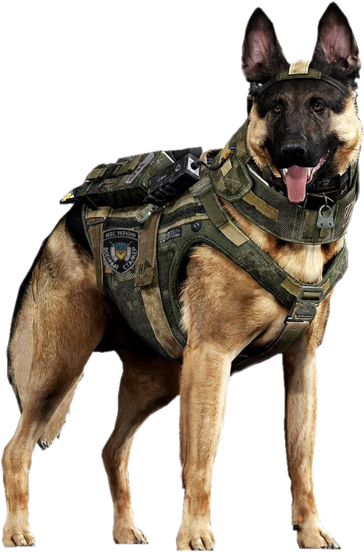 Товарищ Капитошка,