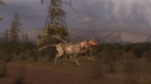 Вот 2 кота гуляют - сладкая Вот 2 кота гуляют - сладкая